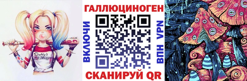 Псилоцибиновые грибы прущие грибы  Купить  Голицыно 